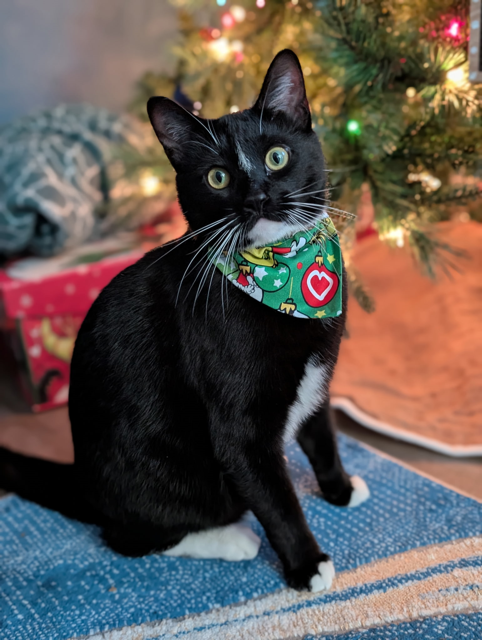 Fiyero